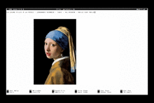 Vermeer2.gif